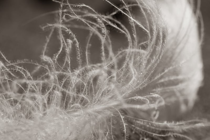 Soft Disclosures